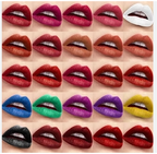 Cvb 25 Color Lipstick Lip Gloss Palette