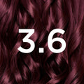 GARNIER COLOR- 3.6
