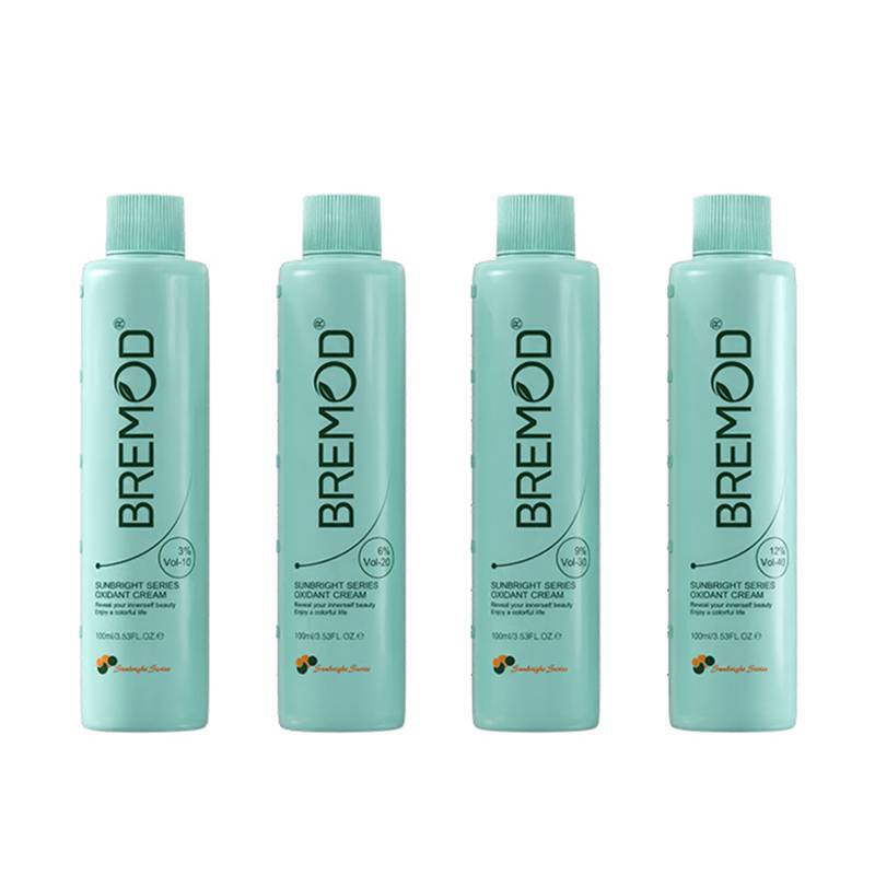 BREMOD DEVELOPER DEVELOPER