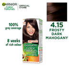 GARNIER COLOR- 4.15