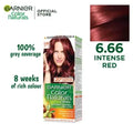 GARNIER COLOR- 6.66