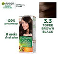 GARNIER COLOR- 3.3
